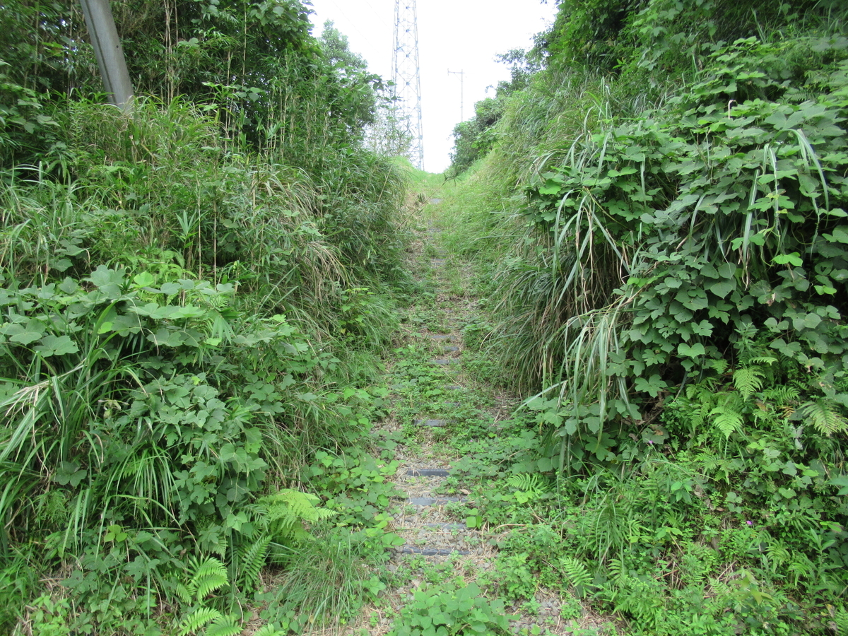 f:id:mai9mami:20200918142540j:plain f:id:mai9mami:20200918142540j:plain