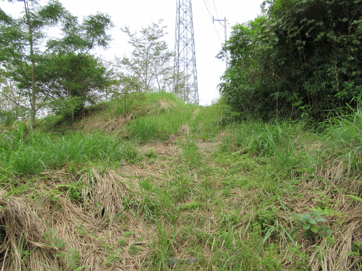 f:id:mai9mami:20200918142631j:plain f:id:mai9mami:20200918142631j:plain