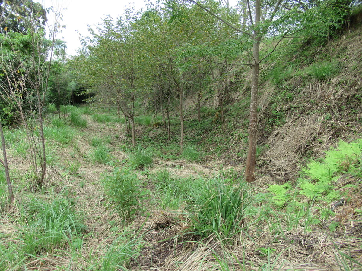 f:id:mai9mami:20200918142656j:plain f:id:mai9mami:20200918142656j:plain