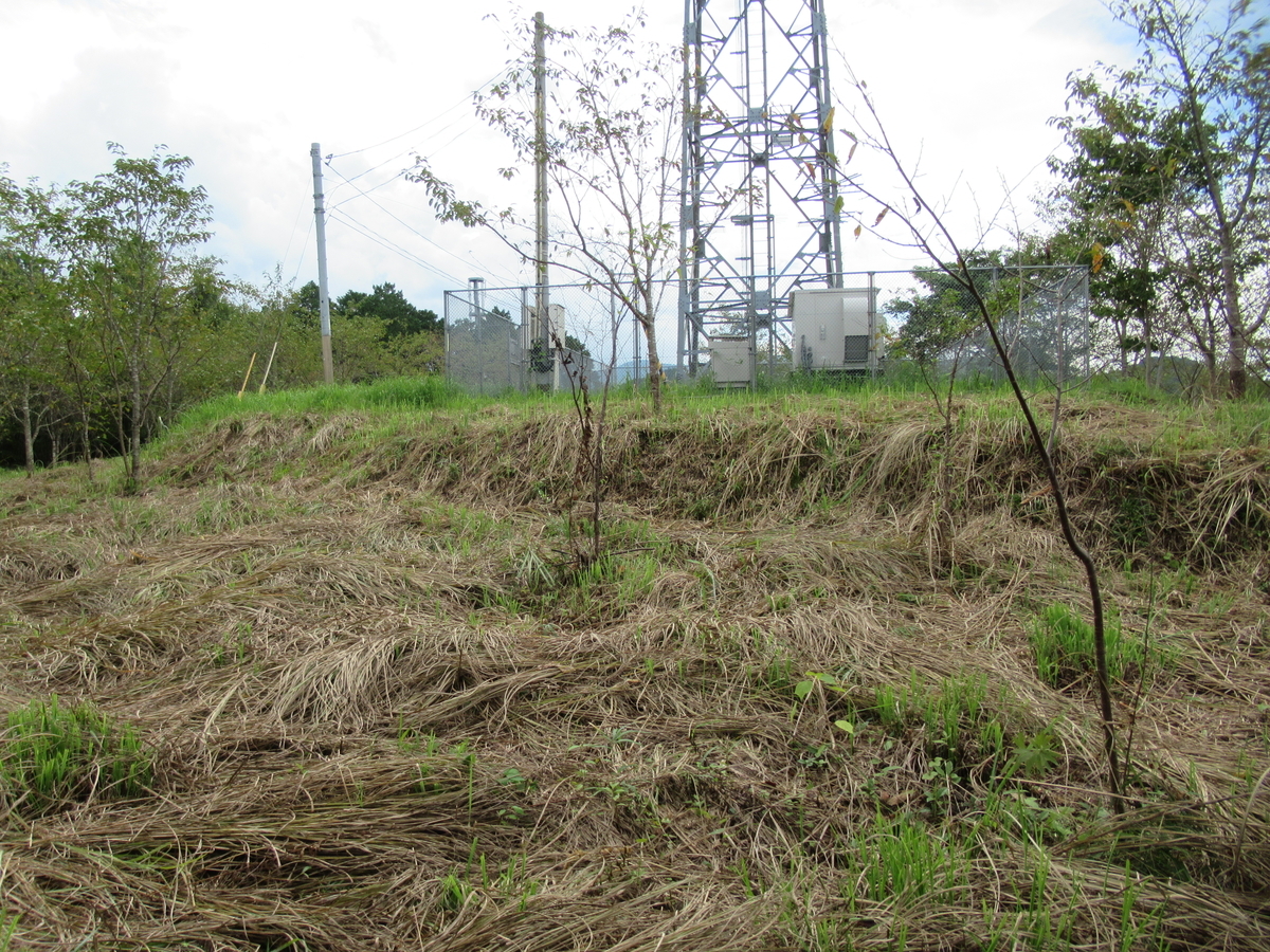 f:id:mai9mami:20200918143402j:plain f:id:mai9mami:20200918143402j:plain