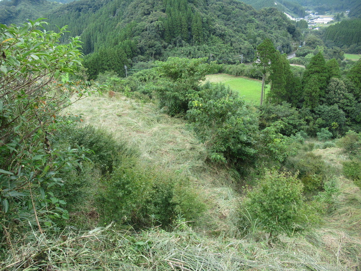 f:id:mai9mami:20200918143624j:plain f:id:mai9mami:20200918143624j:plain