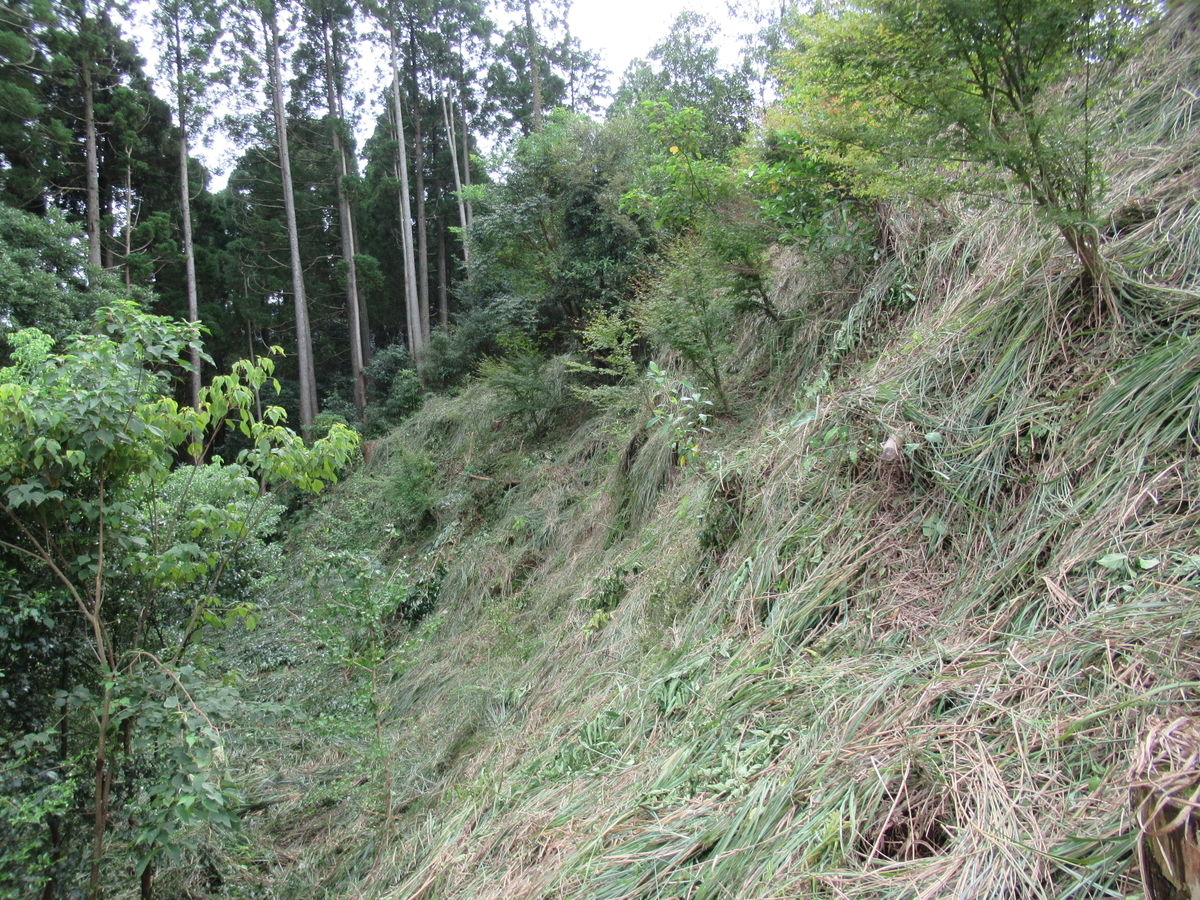 f:id:mai9mami:20200918143856j:plain f:id:mai9mami:20200918143856j:plain