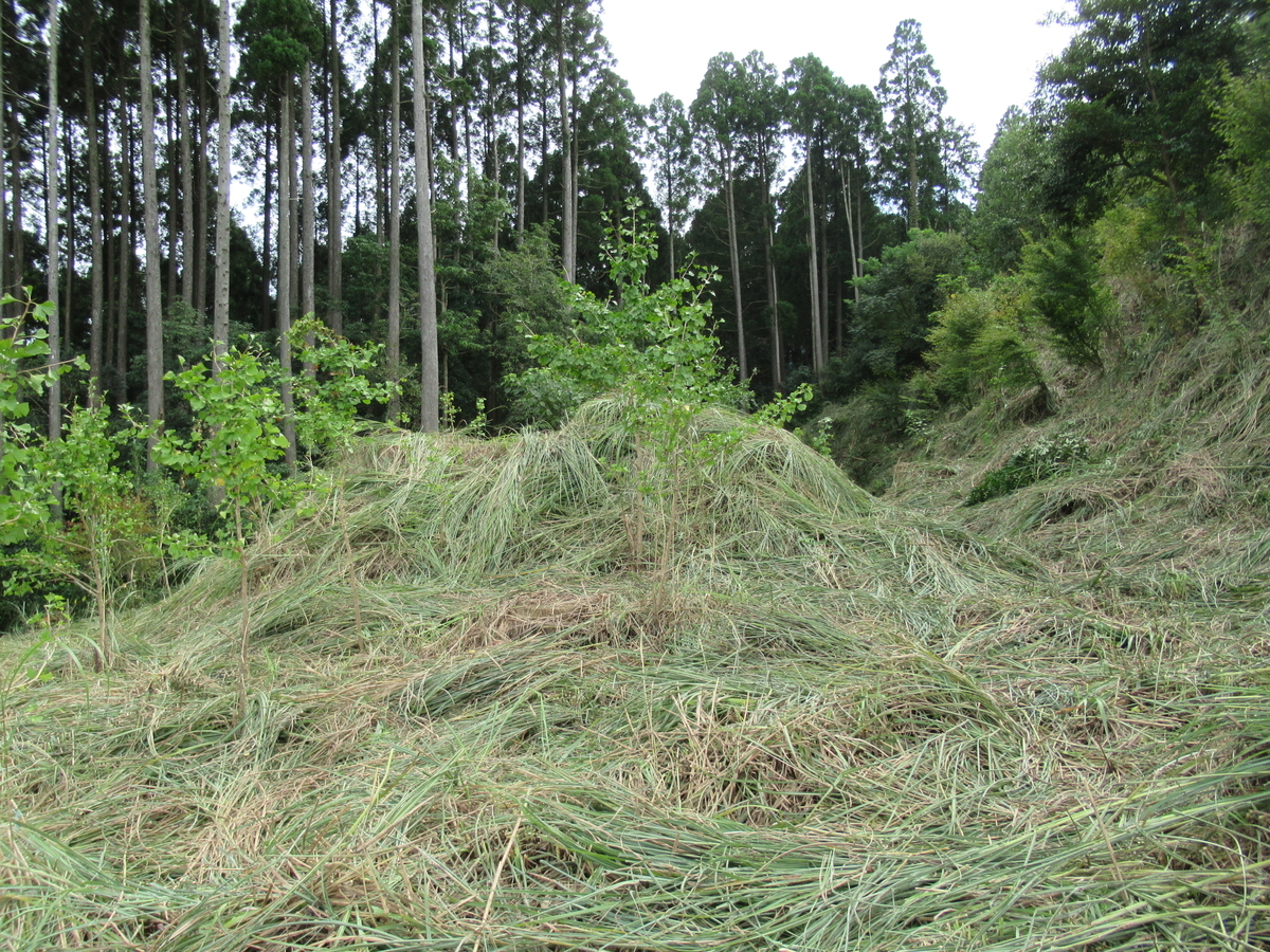 f:id:mai9mami:20200918144014j:plain f:id:mai9mami:20200918144014j:plain