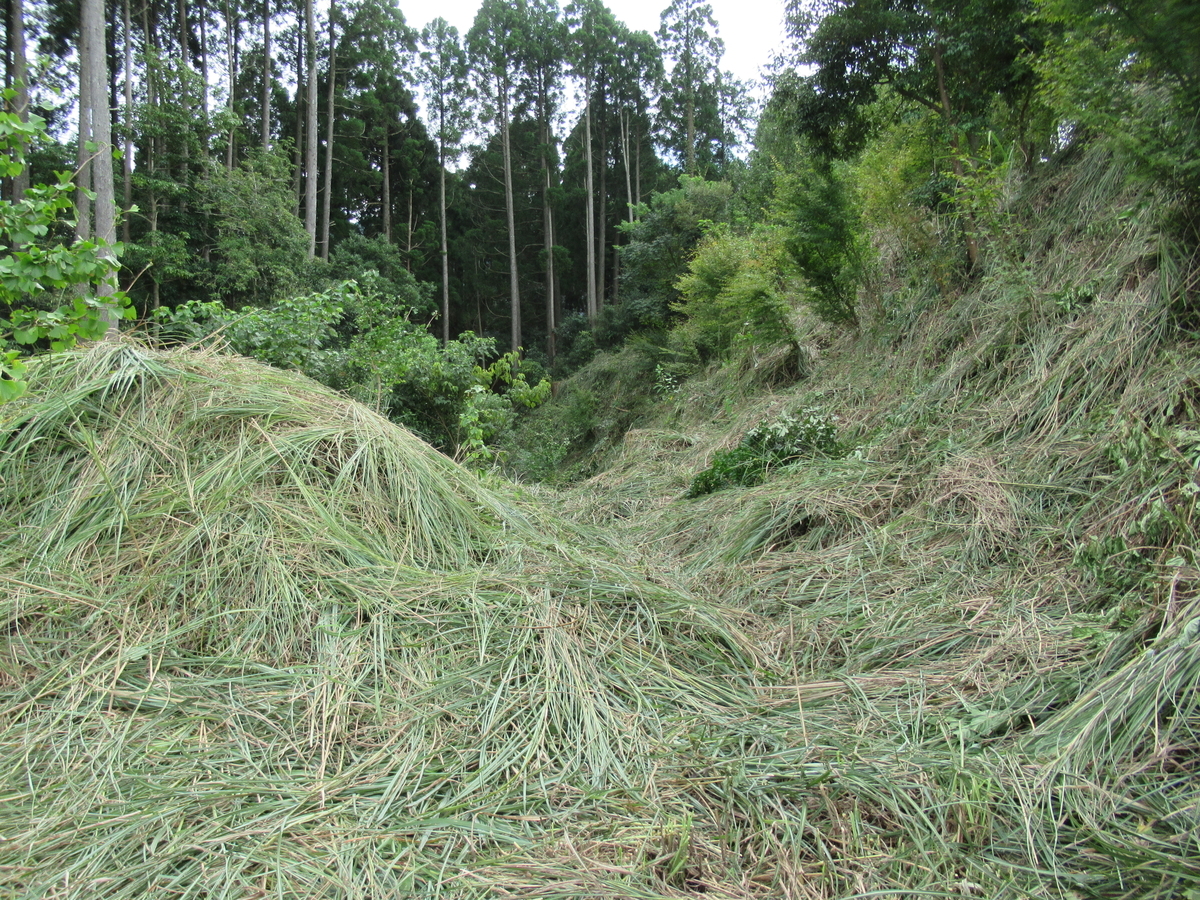 f:id:mai9mami:20200918144043j:plain f:id:mai9mami:20200918144043j:plain