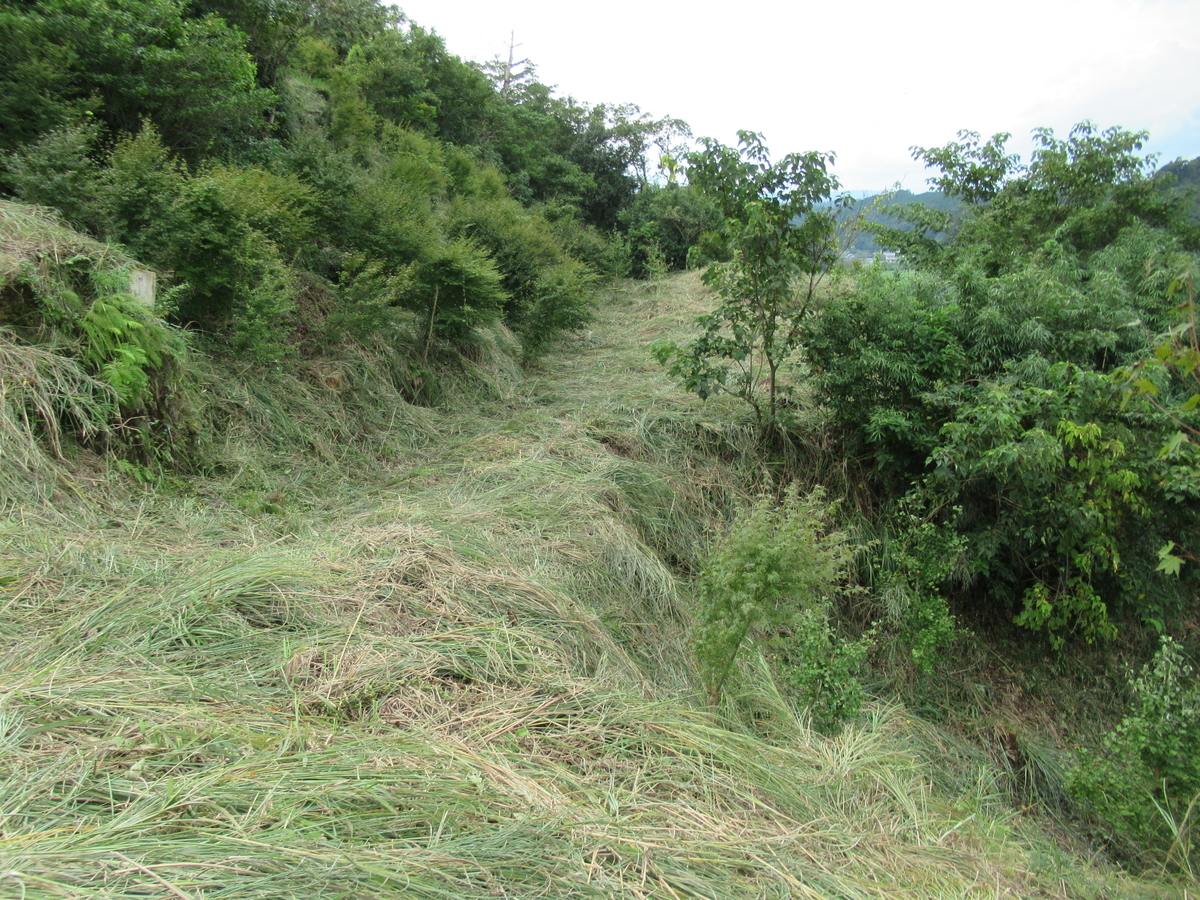 f:id:mai9mami:20200918144202j:plain f:id:mai9mami:20200918144202j:plain