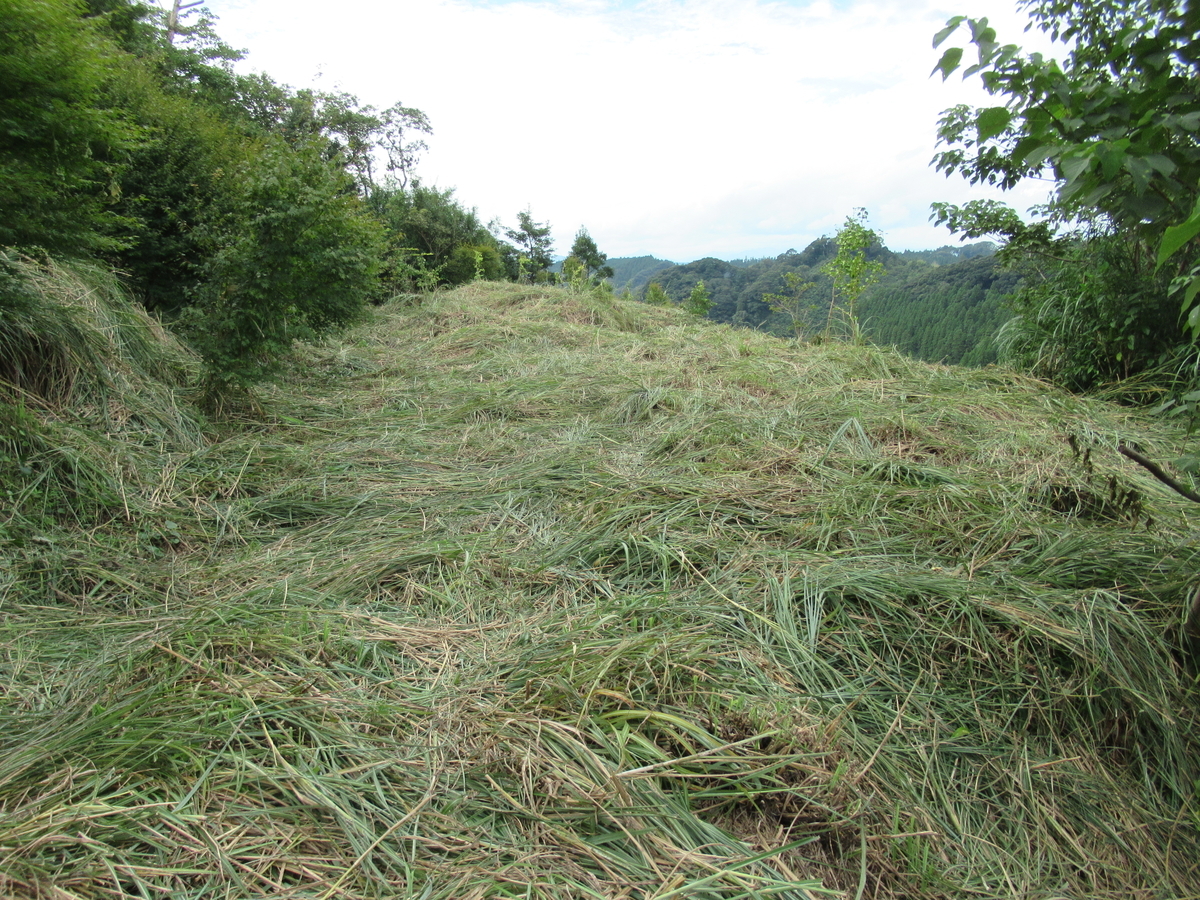 f:id:mai9mami:20200918144328j:plain f:id:mai9mami:20200918144328j:plain