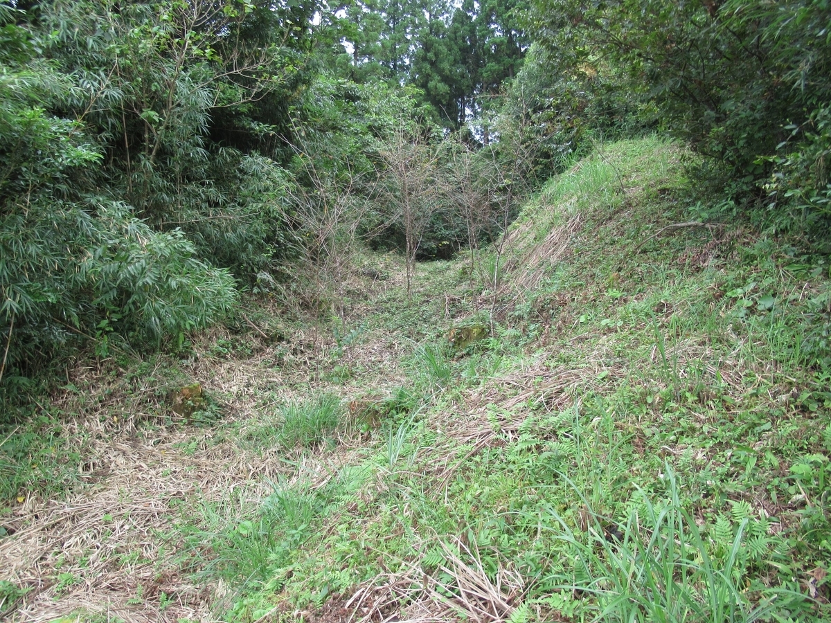 f:id:mai9mami:20200924004511j:plain f:id:mai9mami:20200924004511j:plain