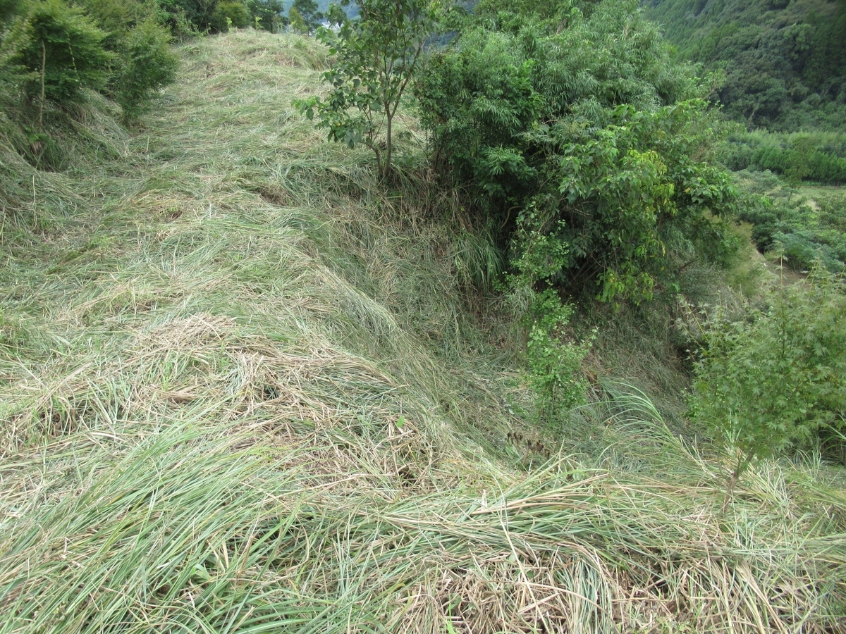 f:id:mai9mami:20200924010700j:plain f:id:mai9mami:20200924010700j:plain