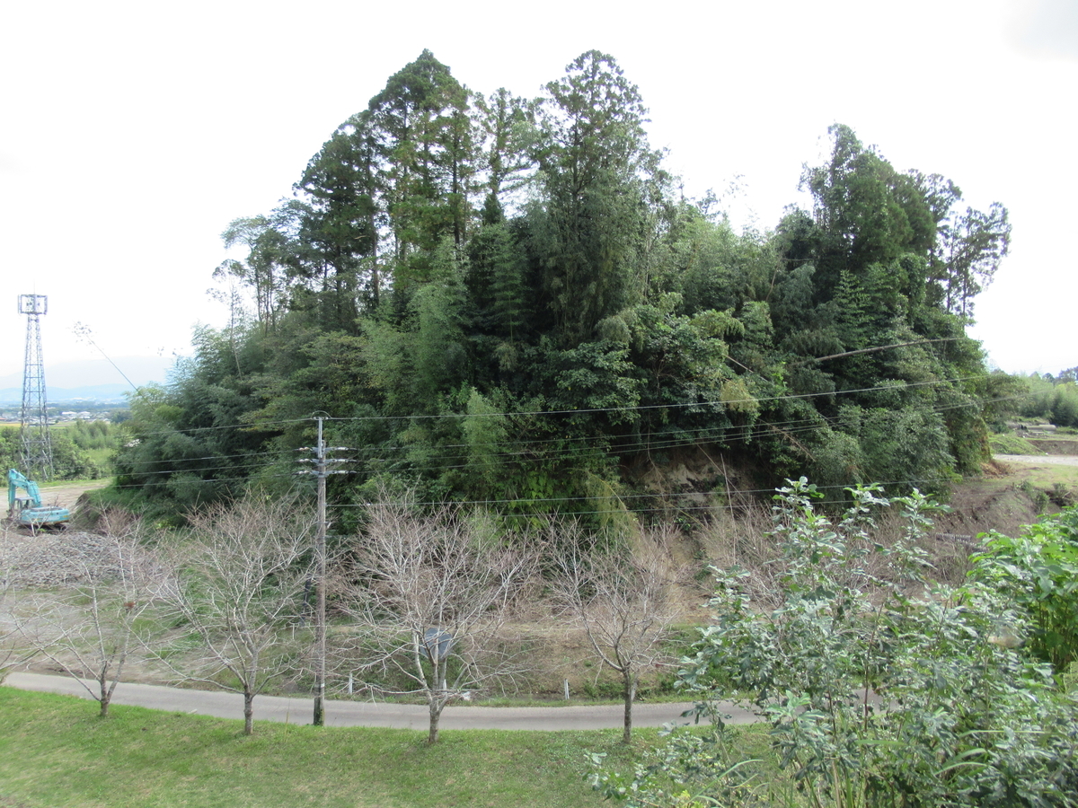 f:id:mai9mami:20201011111551j:plain