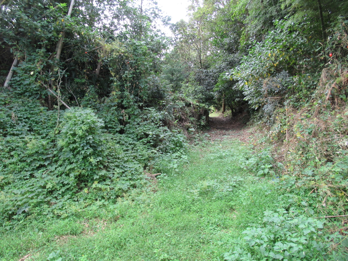 f:id:mai9mami:20201011112836j:plain