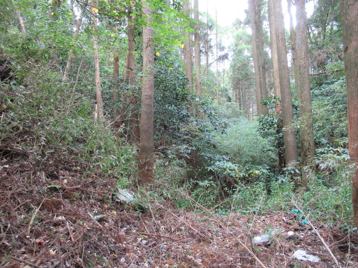 f:id:mai9mami:20201011131152j:plain