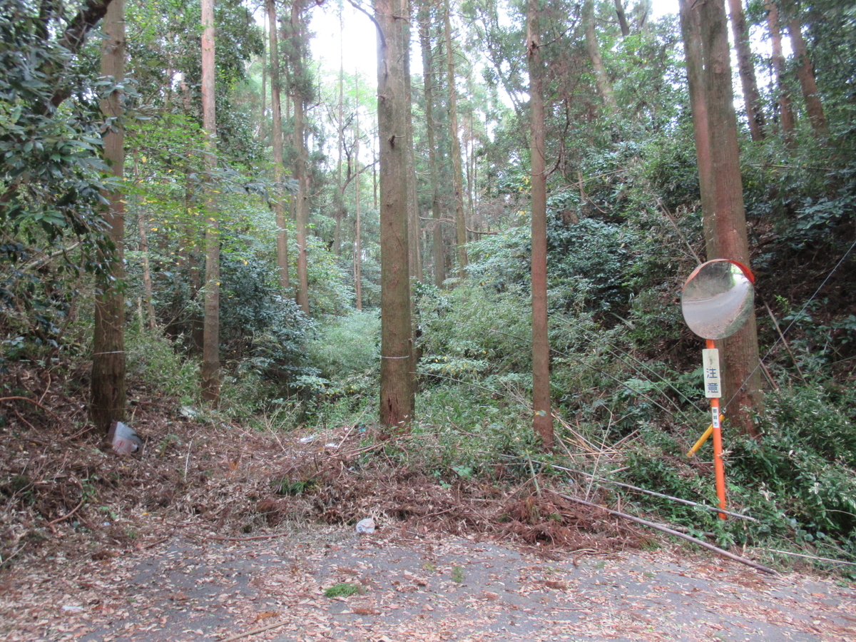 f:id:mai9mami:20201011131812j:plain