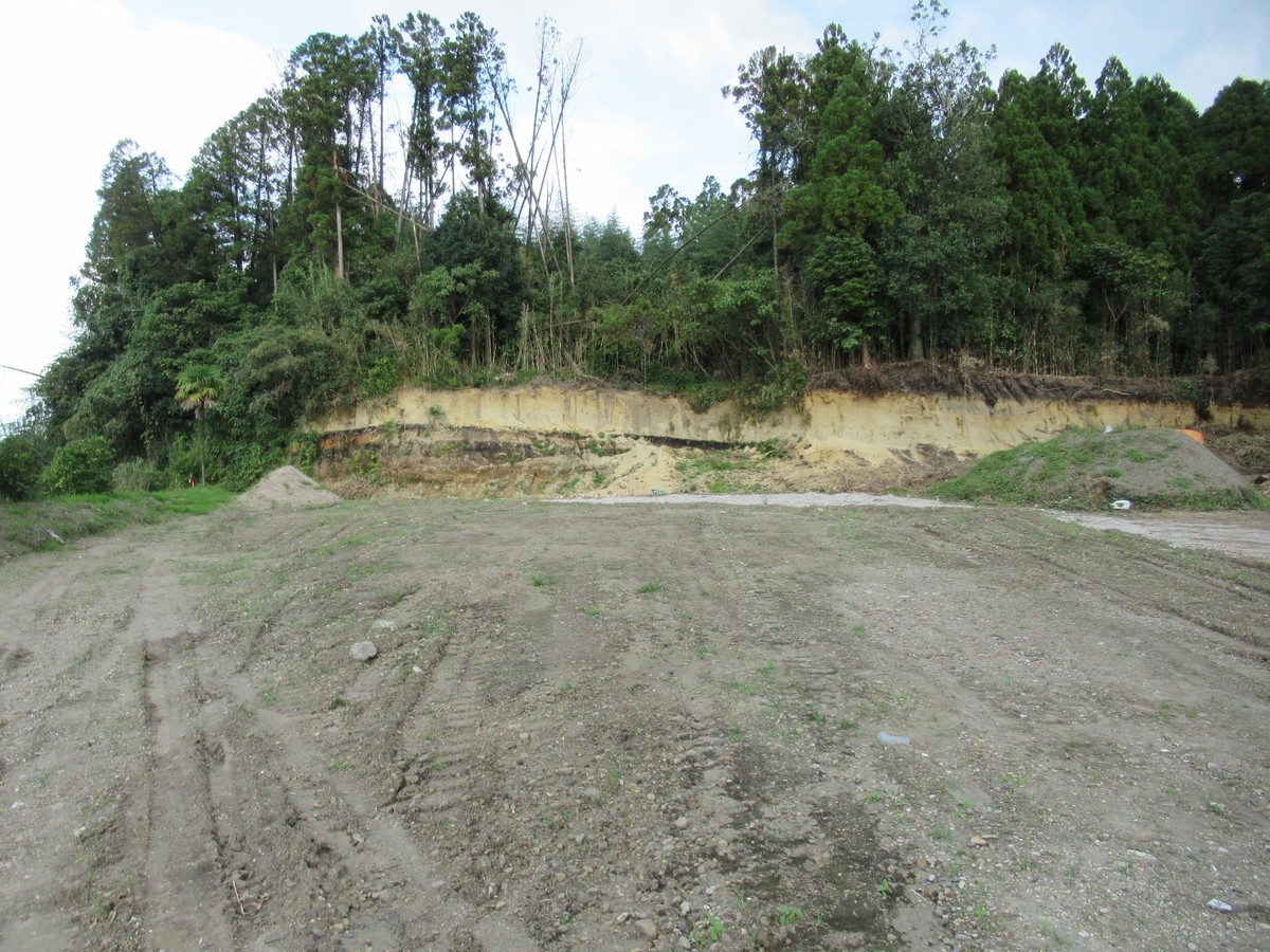 f:id:mai9mami:20201011133742j:plain