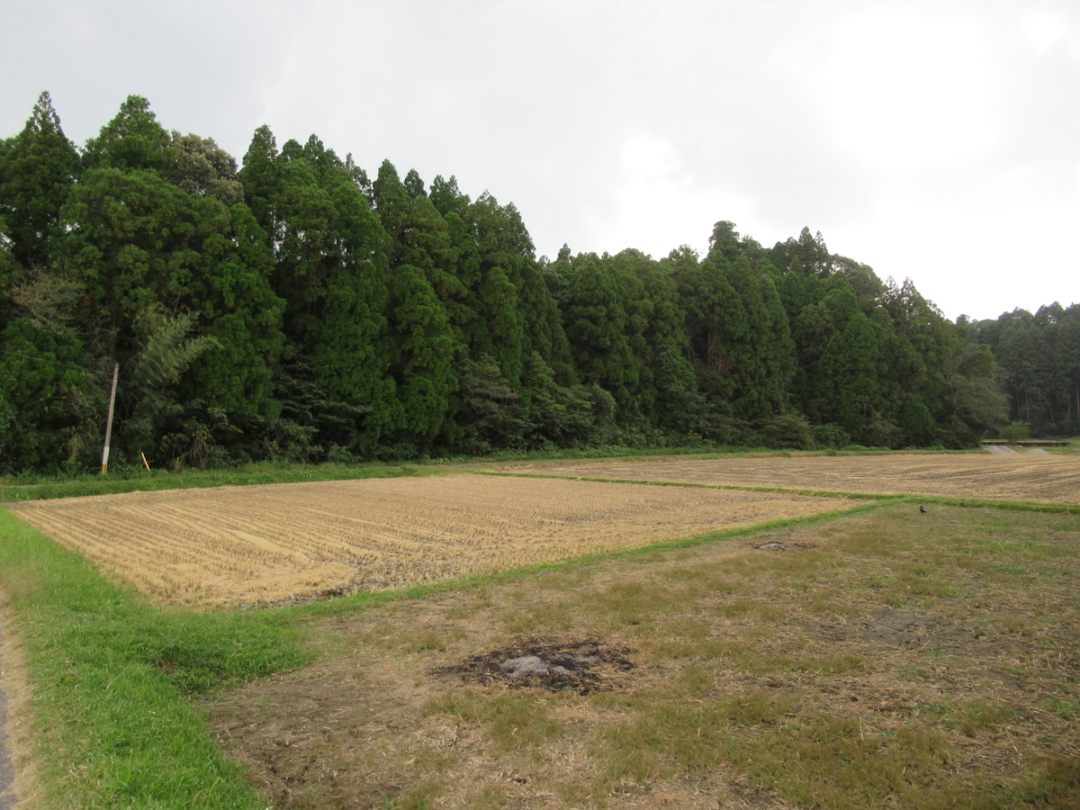 f:id:mai9mami:20201011140912j:plain