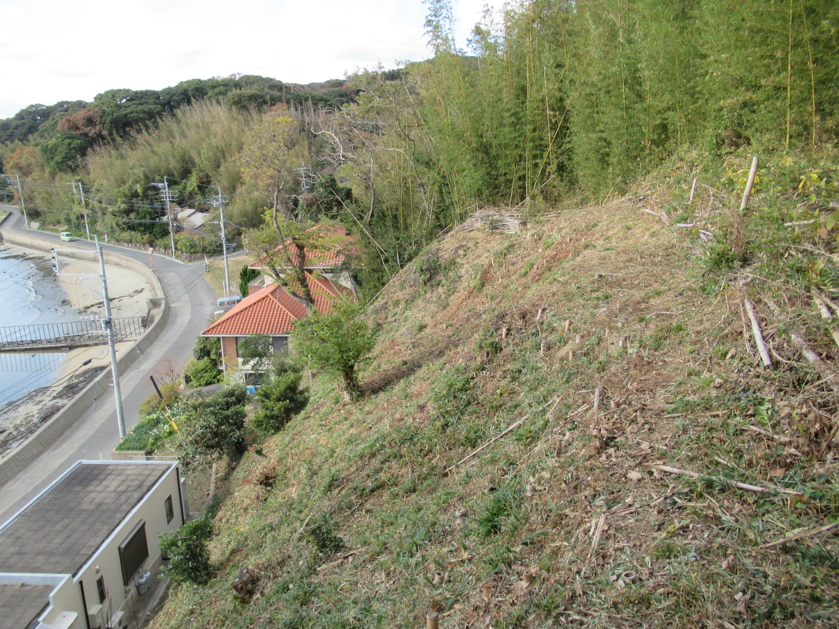 f:id:mai9mami:20201220102453j:plain