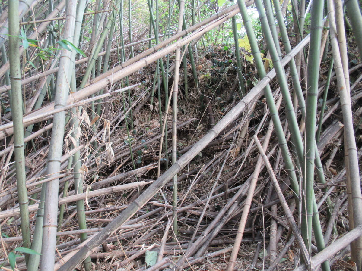 f:id:mai9mami:20201220103944j:plain