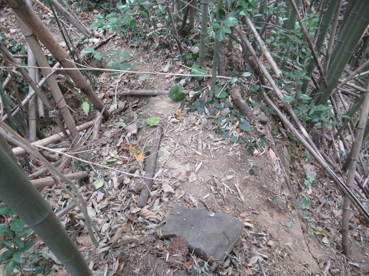 f:id:mai9mami:20201220104419j:plain