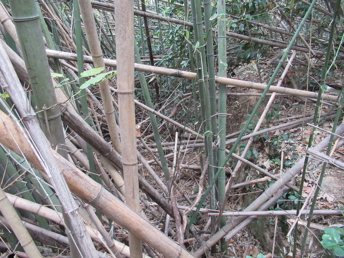 f:id:mai9mami:20201220104440j:plain