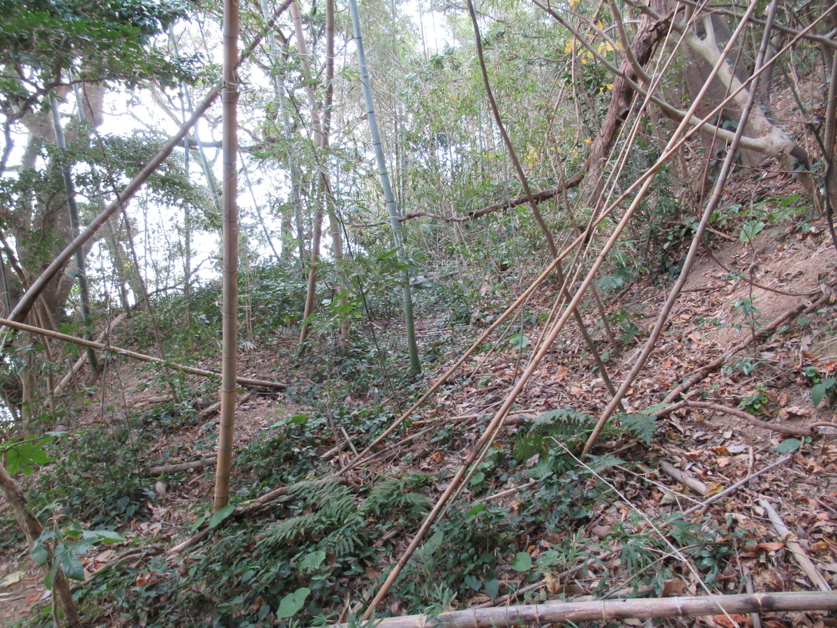 f:id:mai9mami:20201220105513j:plain