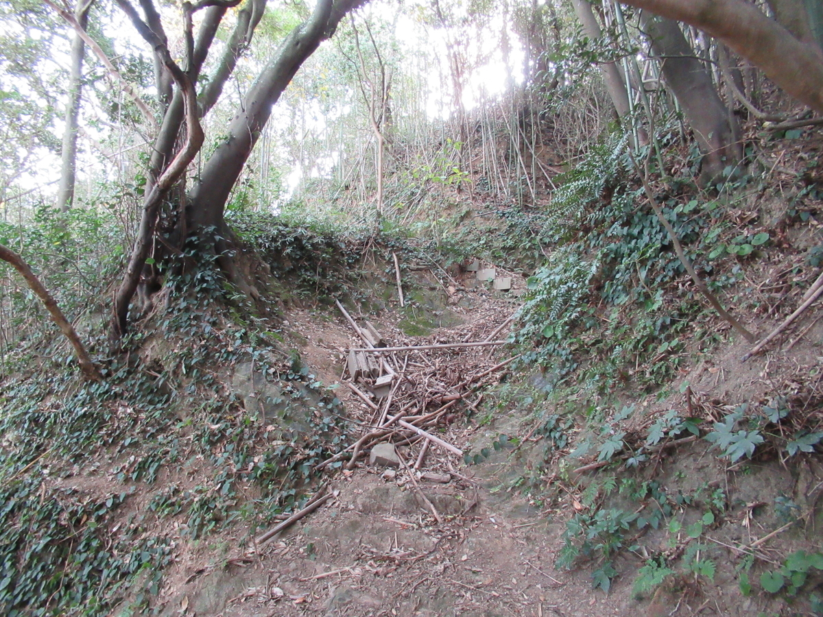 f:id:mai9mami:20201220110141j:plain