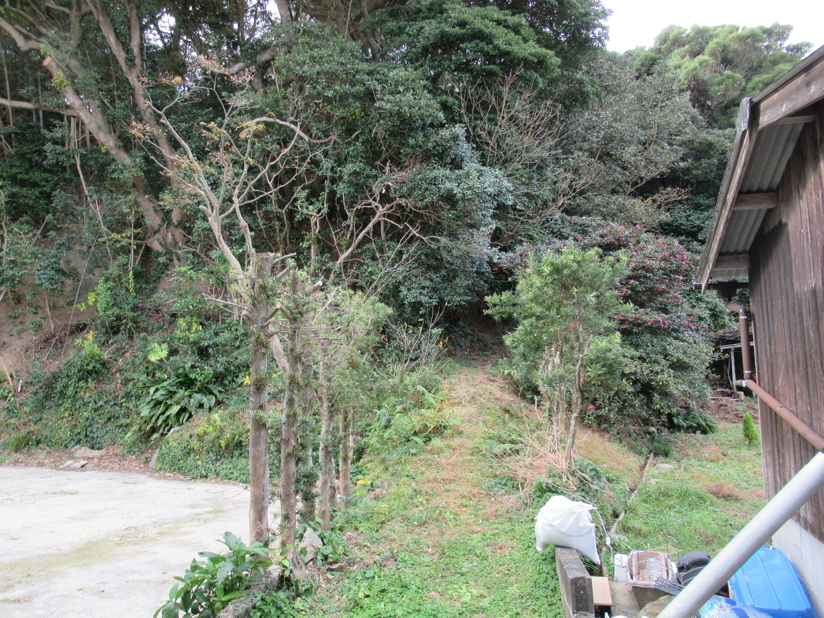 f:id:mai9mami:20201220110252j:plain