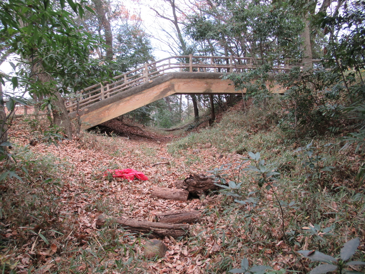 f:id:mai9mami:20201228103543j:plain