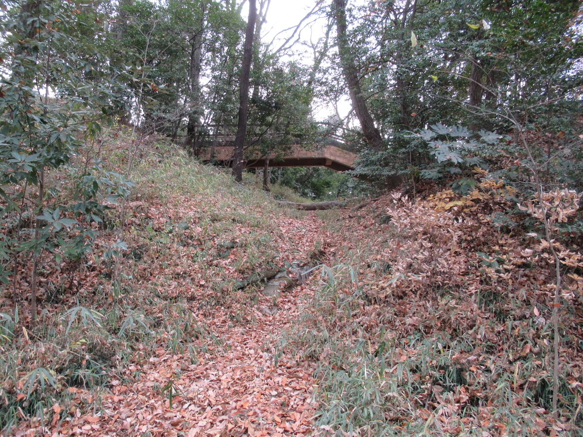 f:id:mai9mami:20201228103805j:plain