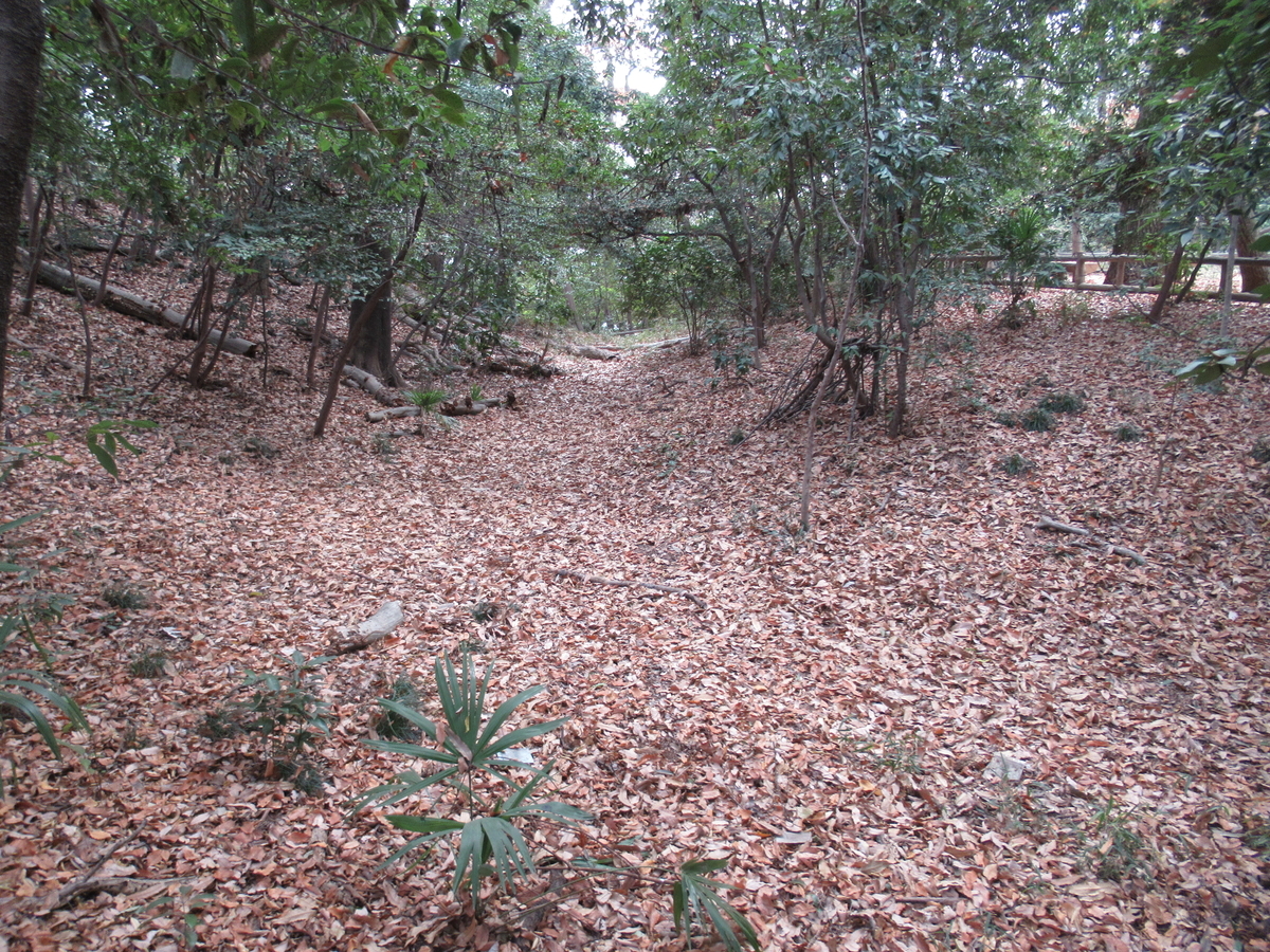 f:id:mai9mami:20201228104554j:plain