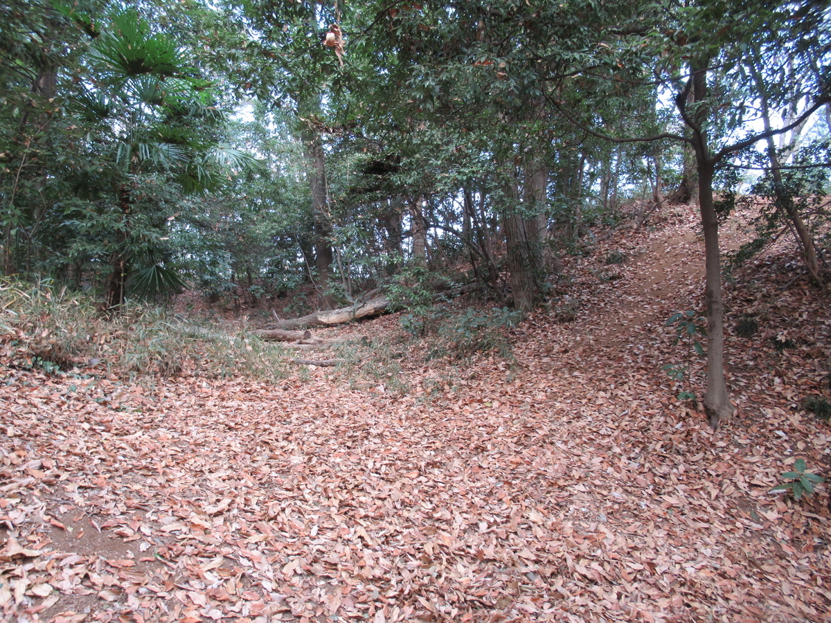 f:id:mai9mami:20201228112416j:plain