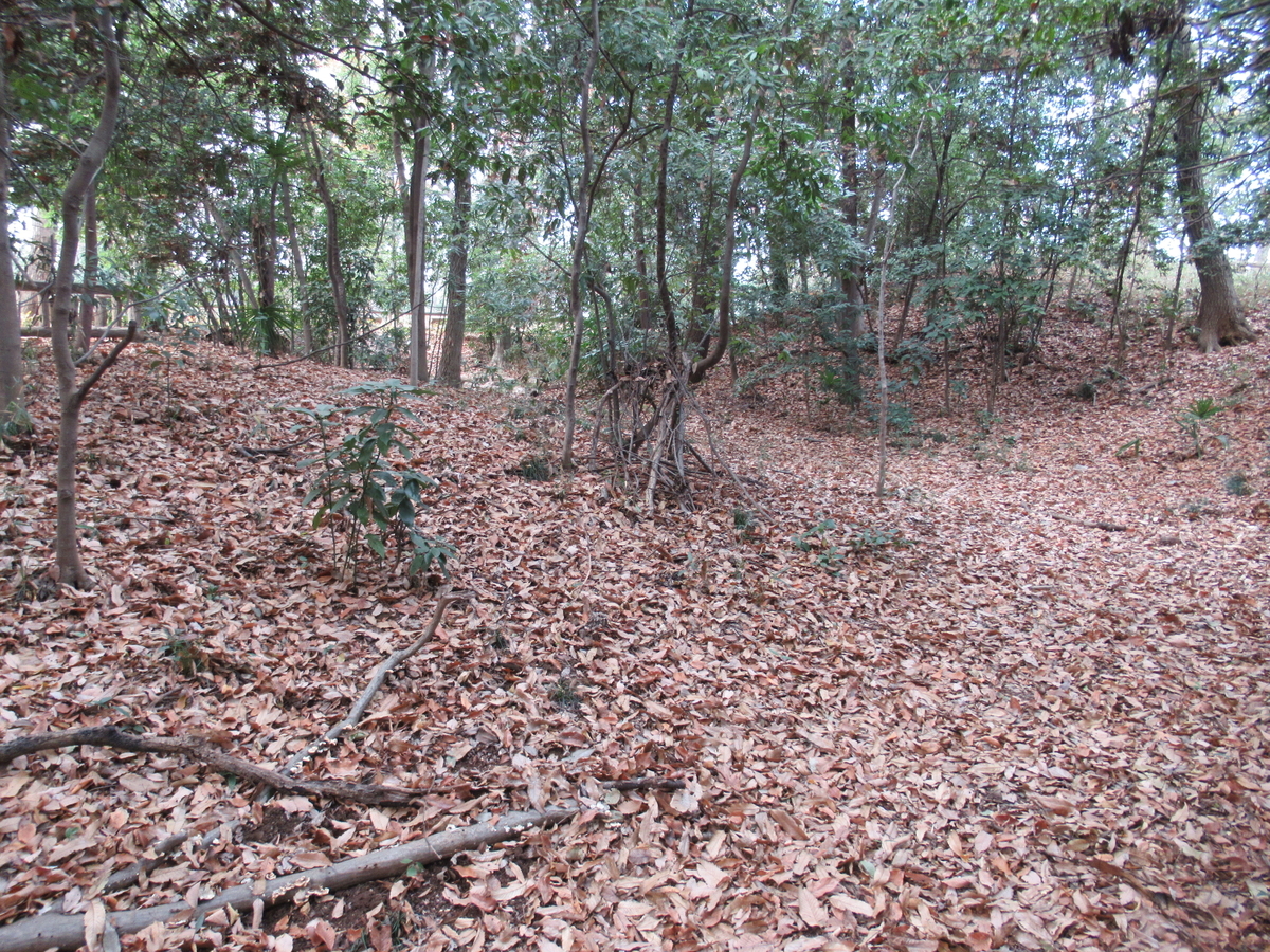 f:id:mai9mami:20201228112658j:plain