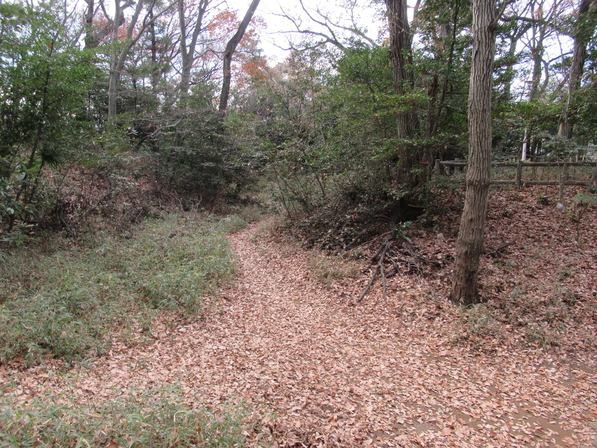 f:id:mai9mami:20201228114705j:plain