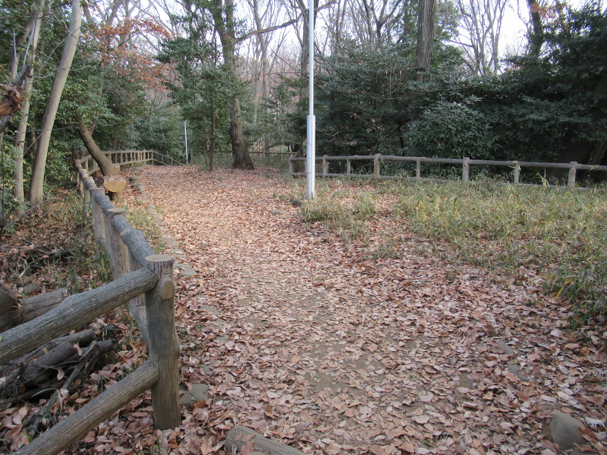 f:id:mai9mami:20201228120418j:plain