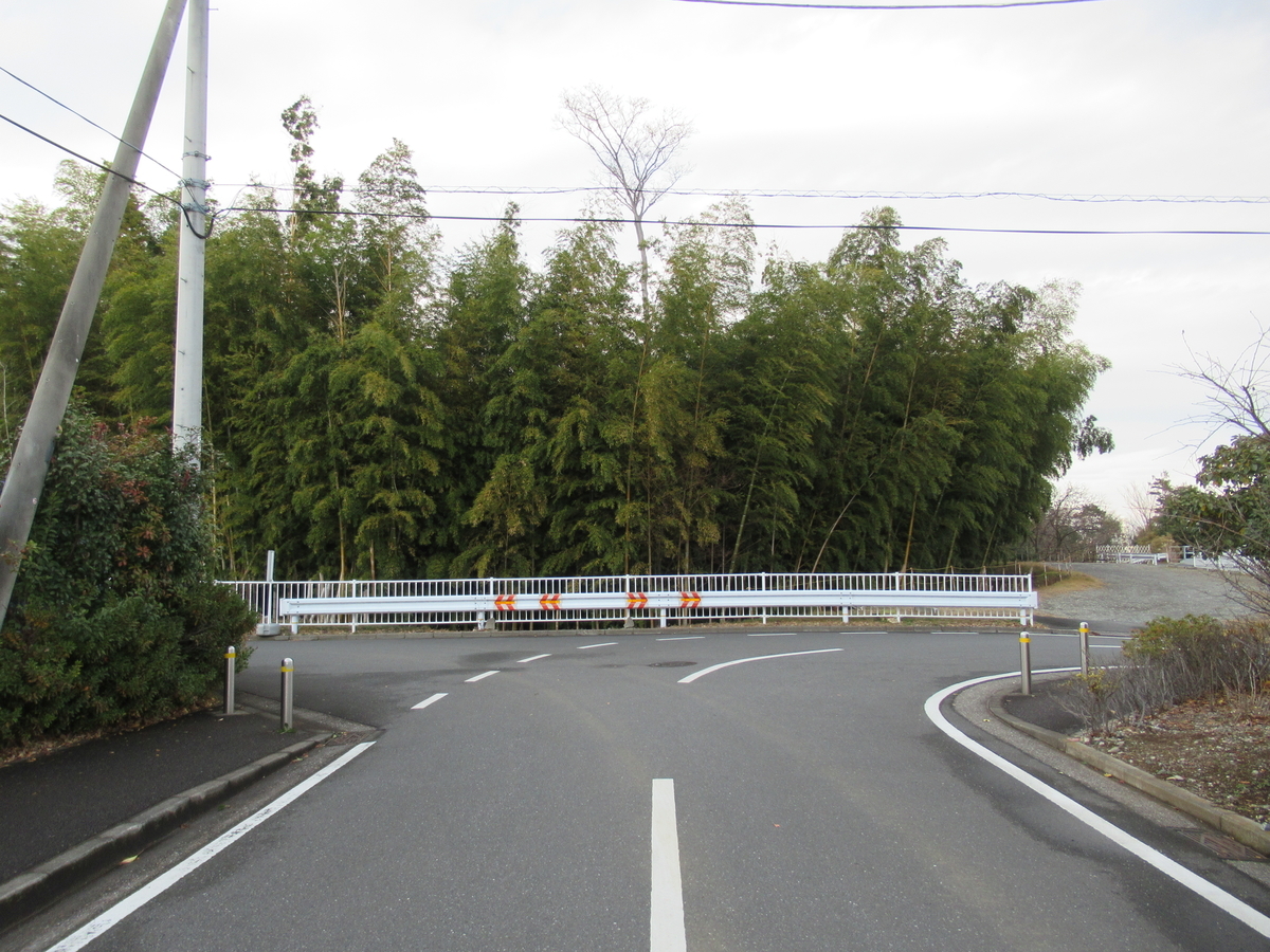 f:id:mai9mami:20201230142522j:plain