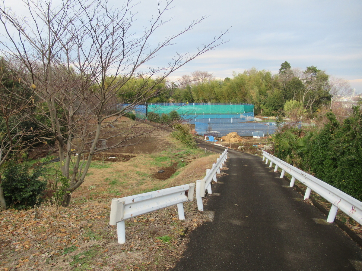 f:id:mai9mami:20201230145141j:plain