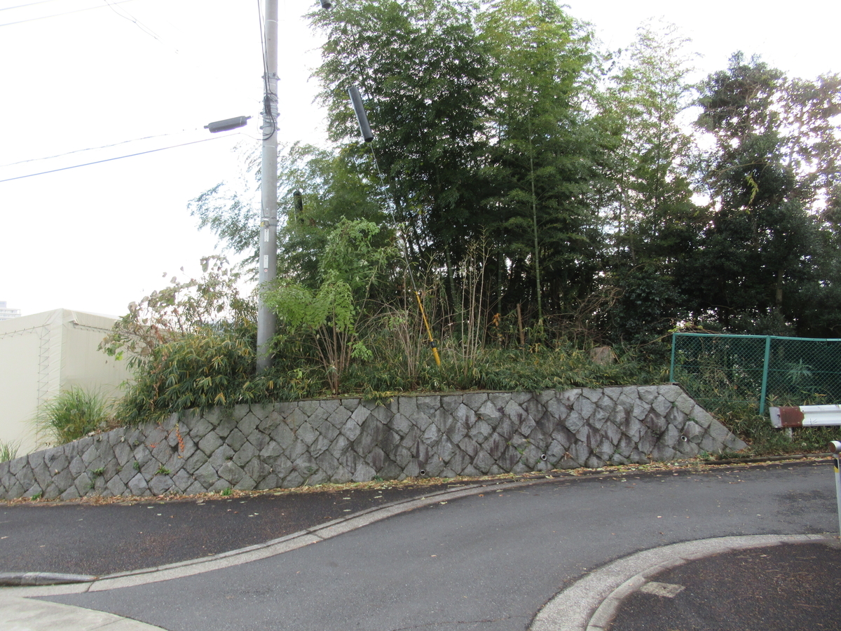 f:id:mai9mami:20201230150225j:plain