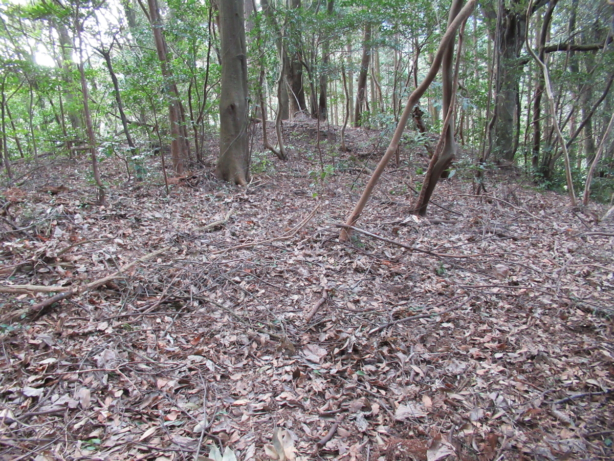 f:id:mai9mami:20210213130634j:plain