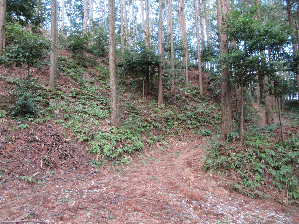 f:id:mai9mami:20210213131019j:plain