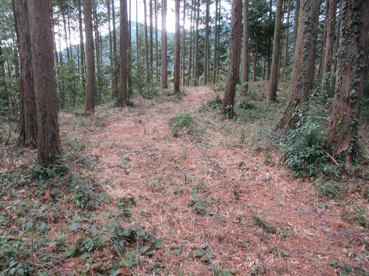 f:id:mai9mami:20210213131438j:plain