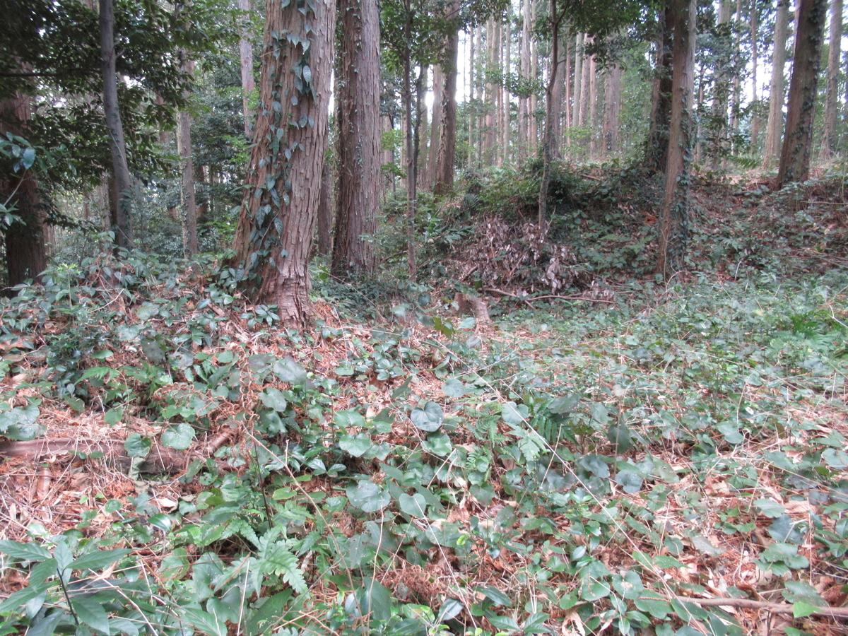 f:id:mai9mami:20210213131848j:plain