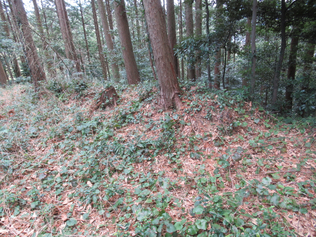 f:id:mai9mami:20210213131955j:plain