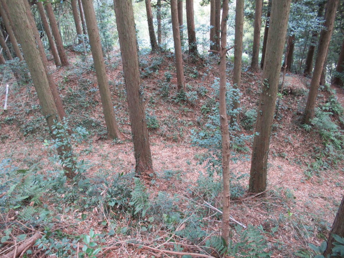 f:id:mai9mami:20210213132050j:plain