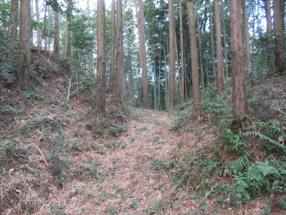 f:id:mai9mami:20210213132211j:plain