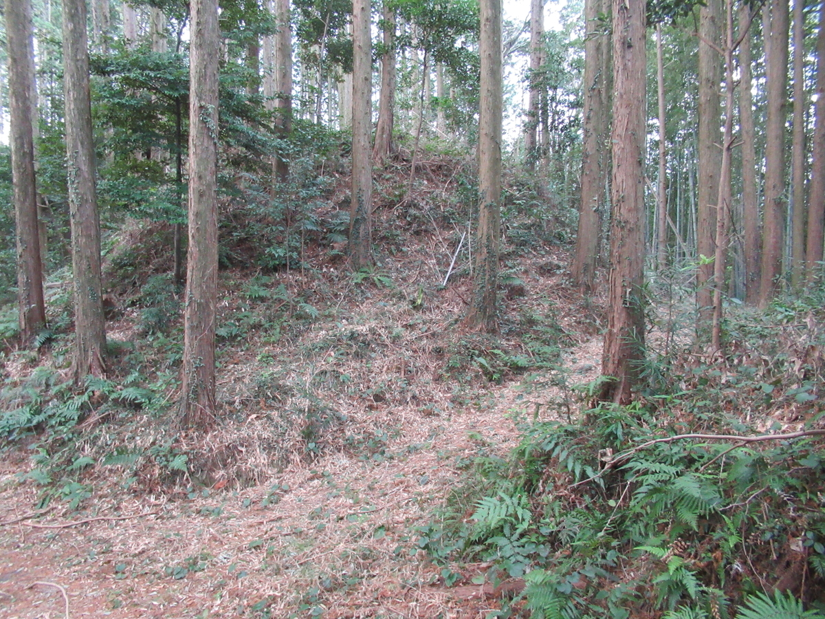 f:id:mai9mami:20210213132305j:plain