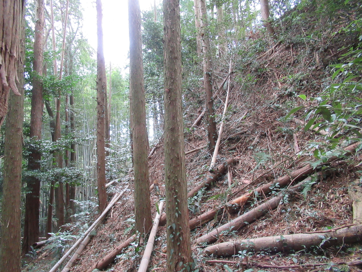 f:id:mai9mami:20210213132630j:plain