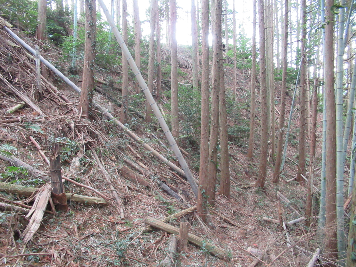 f:id:mai9mami:20210213132649j:plain