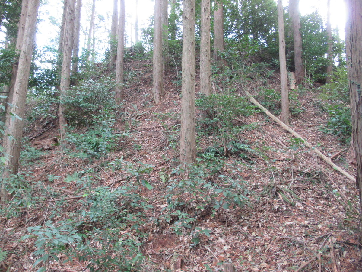 f:id:mai9mami:20210213132918j:plain