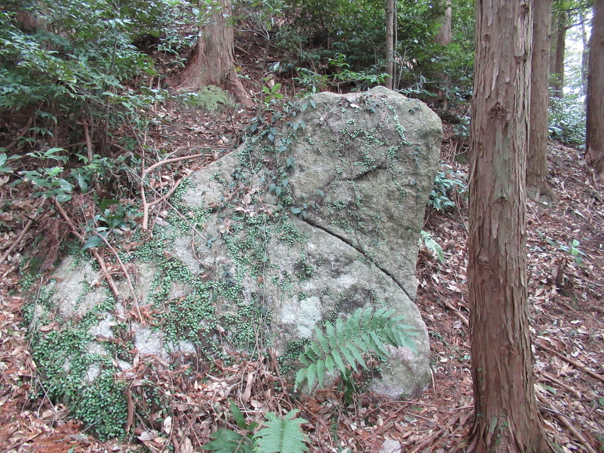 f:id:mai9mami:20210213133259j:plain