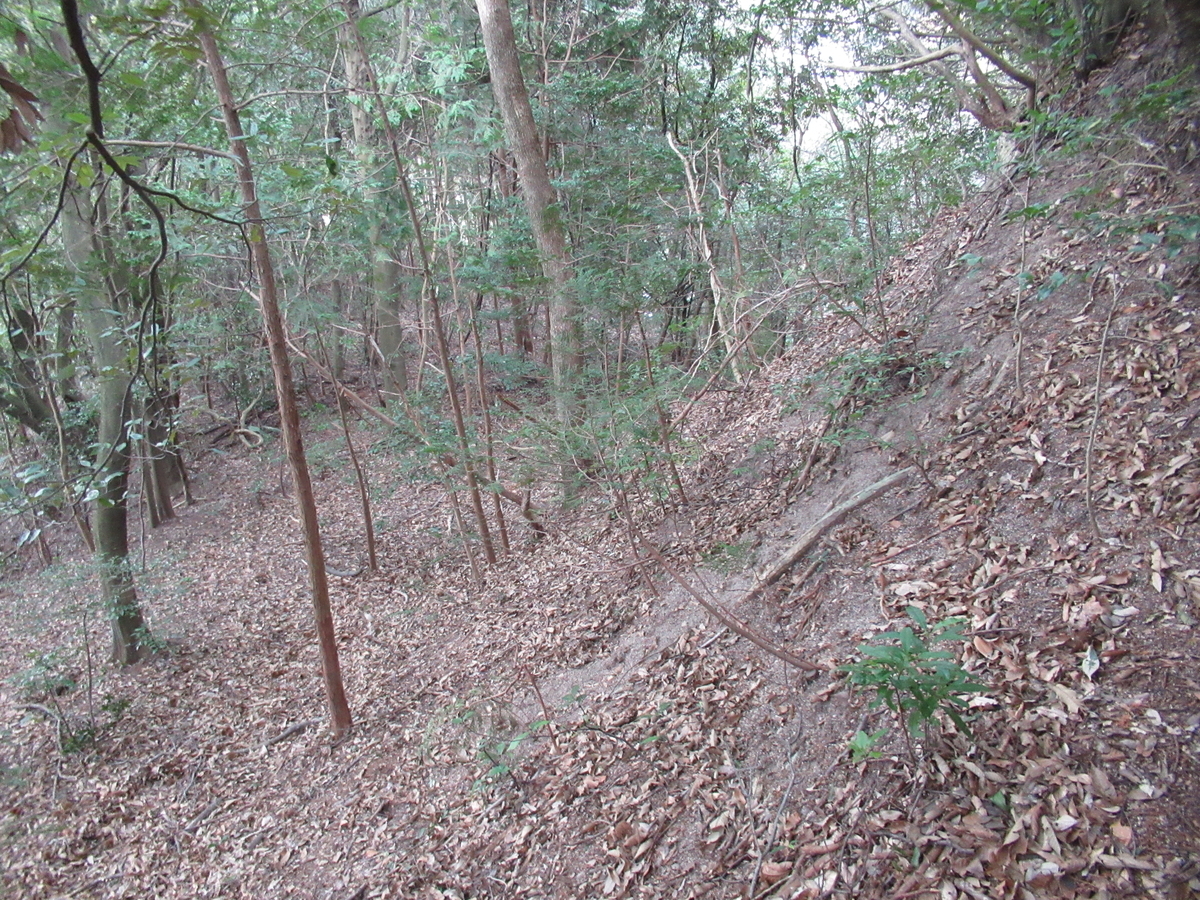 f:id:mai9mami:20210213133457j:plain