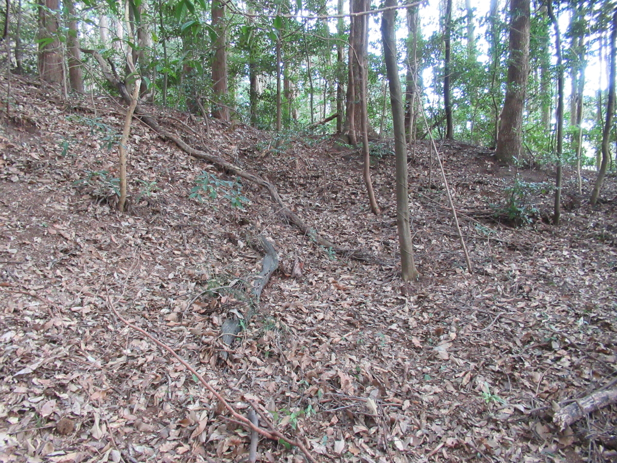 f:id:mai9mami:20210213133520j:plain