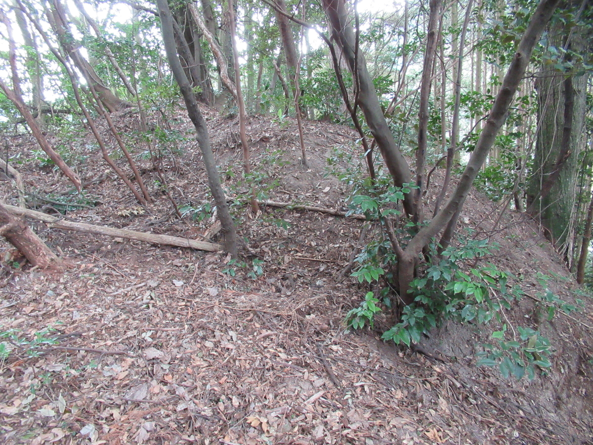 f:id:mai9mami:20210213133913j:plain